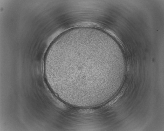 X0000067511083200604281602