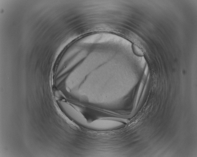 X0000067511084200604281602