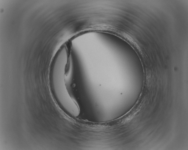 X0000067511085200604281602