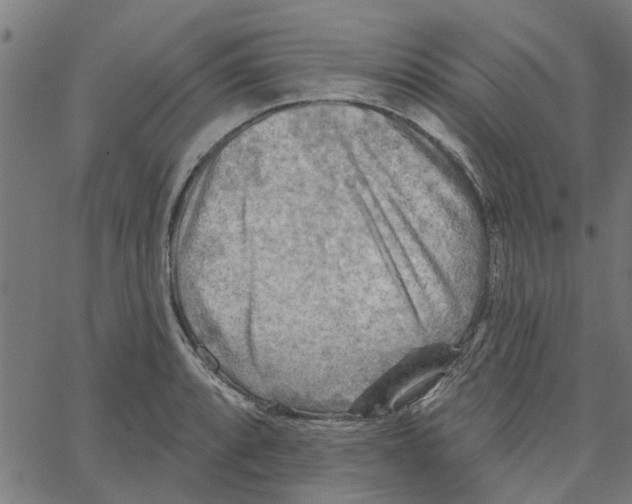 X0000067511088200604281602