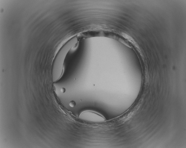 X0000067511089200604281602