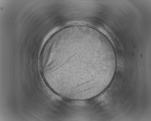 X0000067511090200604281602