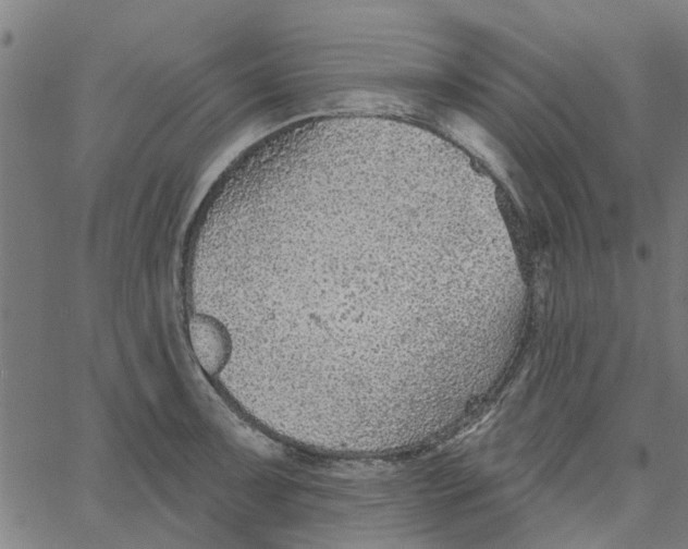 X0000067511091200604281602