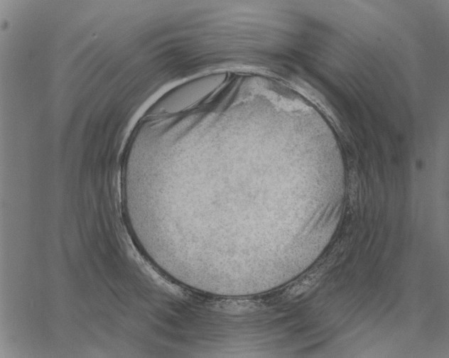 X0000067511092200604281602