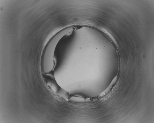 X0000067511093200604281602