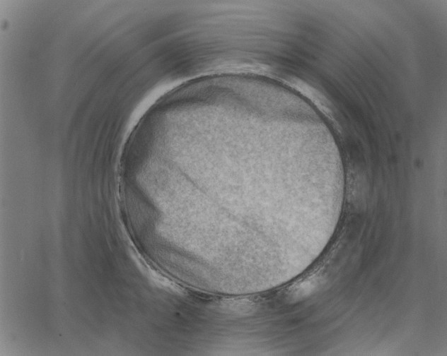 X0000067511094200604281602