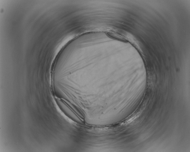 X0000067511095200604281602