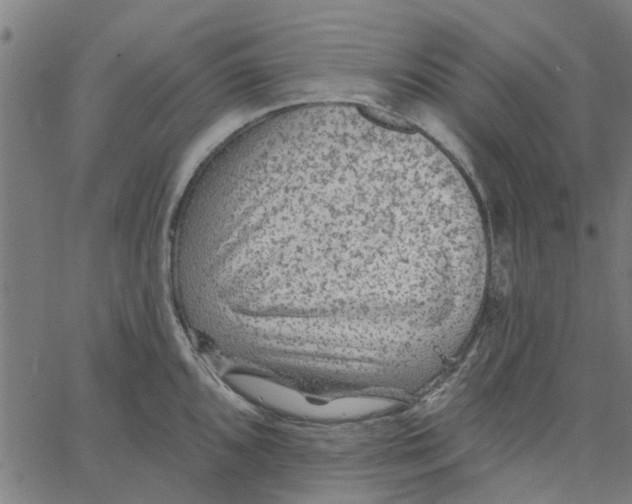 X0000067511096200604281602