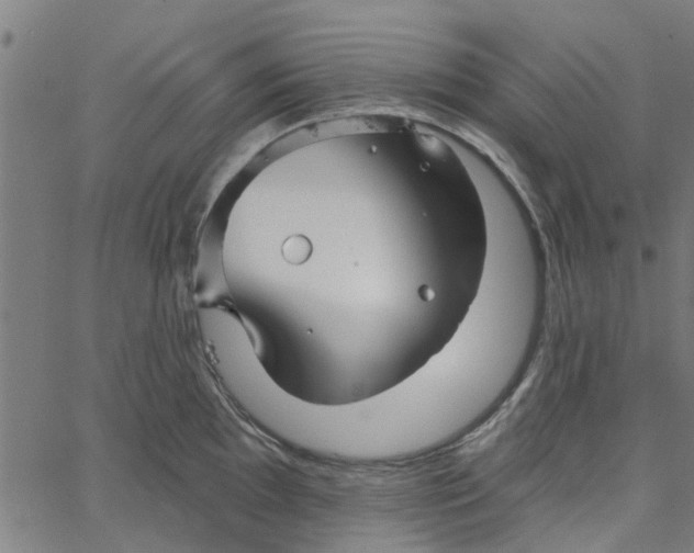 X0000067511097200604281602