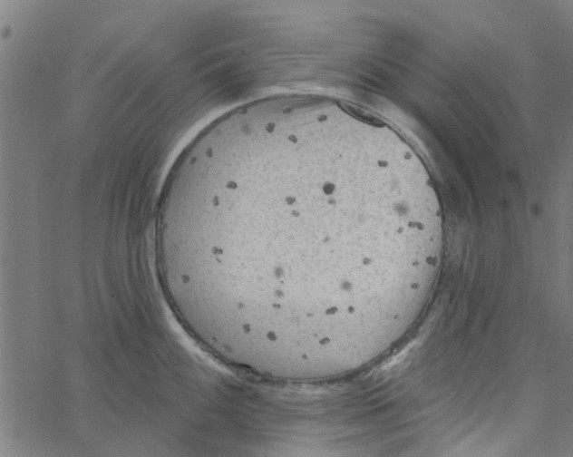 X0000067511100200604281602