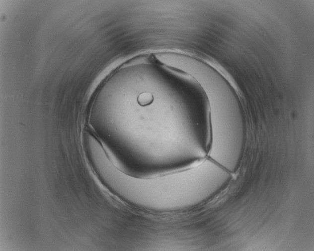 X0000067511101200604281602