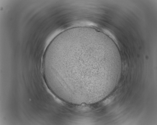 X0000067511103200604281602