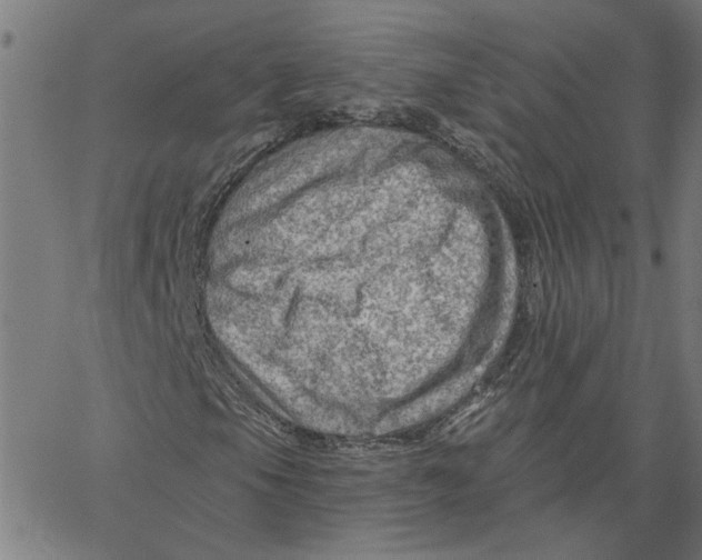 X0000067511105200604281601