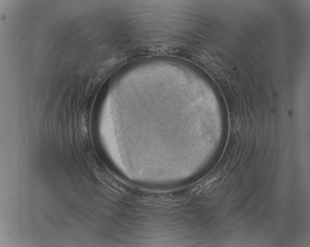 X0000067511106200604281601