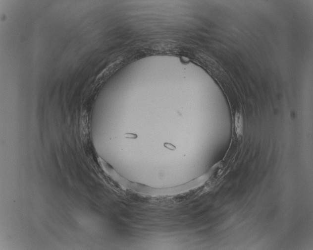 X0000067511107200604281601