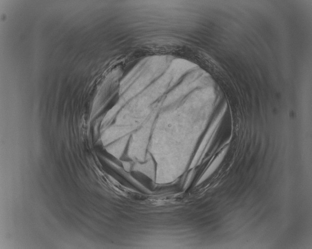 X0000067511108200604281601