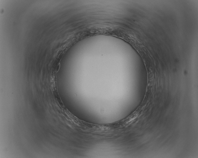 X0000067511109200604281601