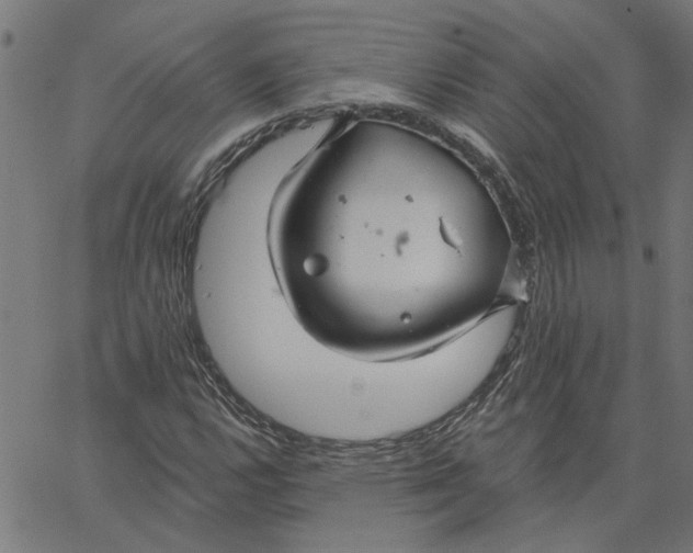 X0000067511112200604281601