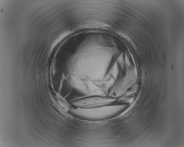 X0000067511114200604281601