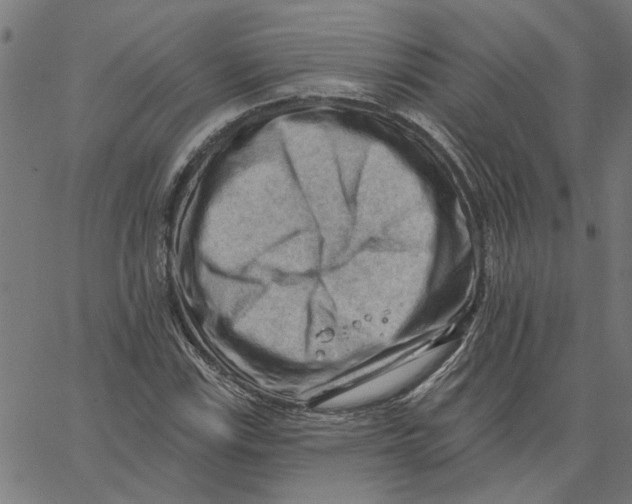 X0000067511115200604281601