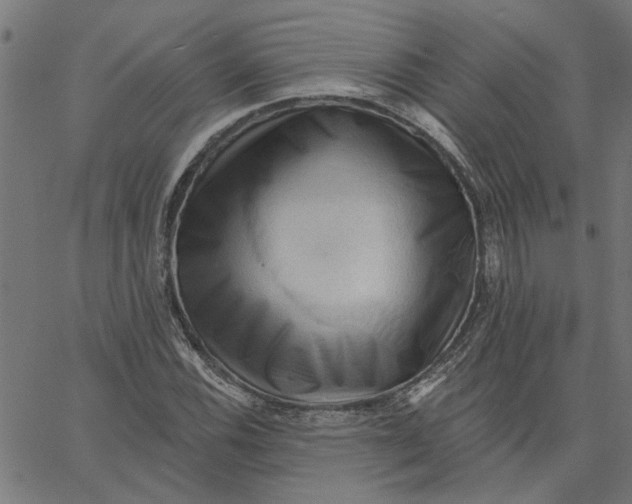 X0000067511116200604281601