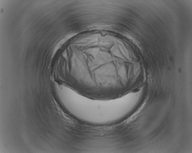 X0000067511117200604281601