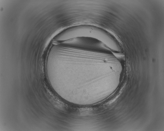 X0000067511118200604281601