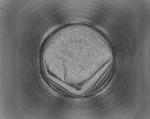 X0000067511122200604281601