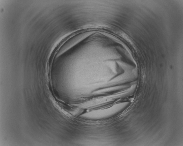 X0000067511124200604281601