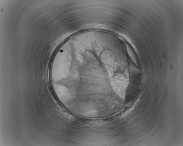 X0000067511125200604281601