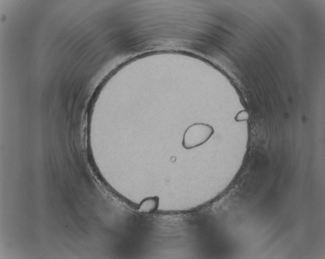 X0000067511126200604281601