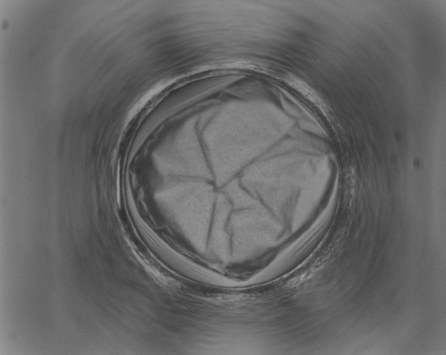 X0000067511127200604281601