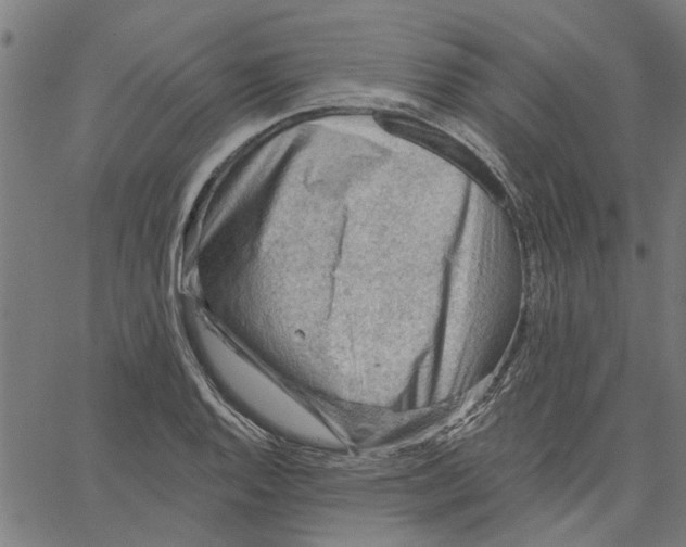 X0000067511128200604281601