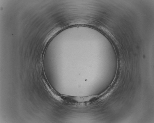 X0000067511129200604281601