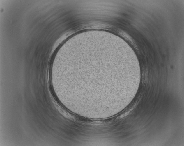 X0000067511130200604281601