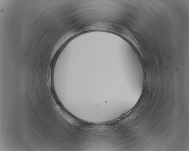 X0000067511131200604281601