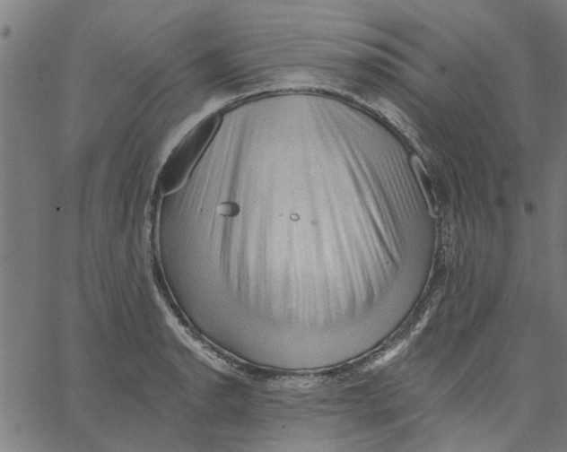 X0000067511134200604281601