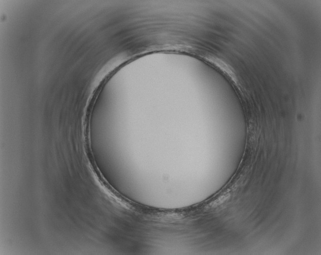 X0000067511135200604281601