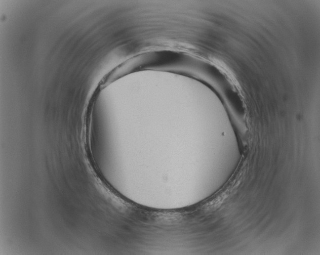 X0000067511136200604281601