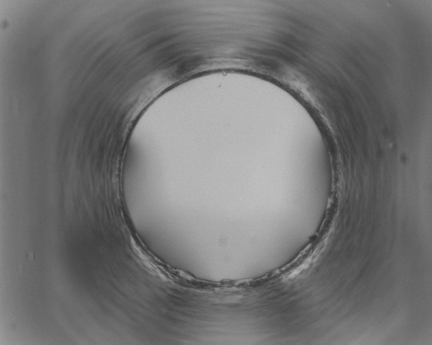 X0000067511137200604281601