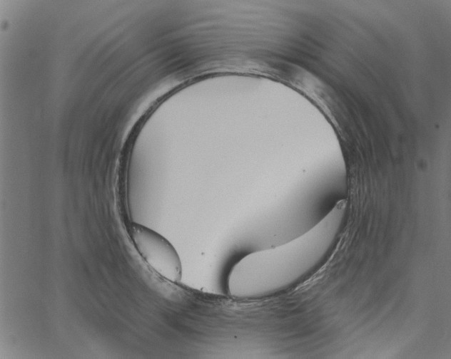 X0000067511139200604281601