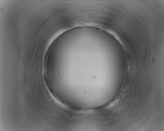 X0000067511143200604281601