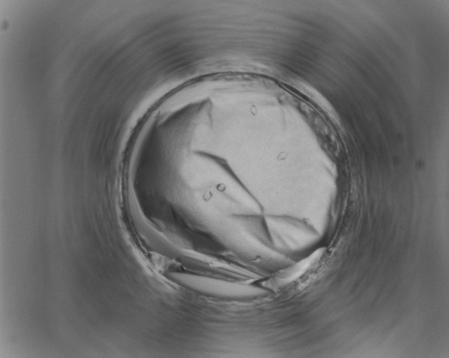 X0000067511144200604281602