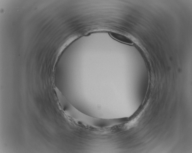 X0000067511145200604281602