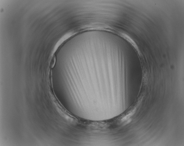 X0000067511146200604281602