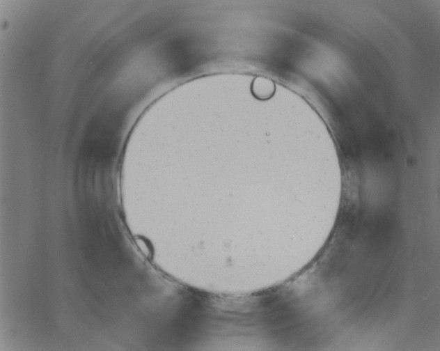 X0000067511150200604281602