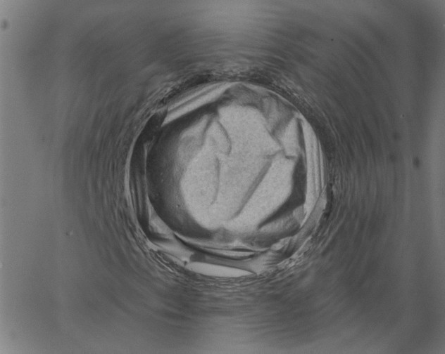 X0000067511153200604281601