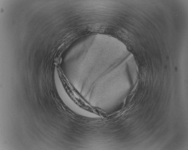 X0000067511154200604281601