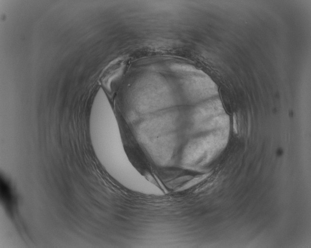 X0000067511155200604281601