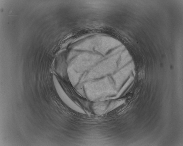 X0000067511156200604281601